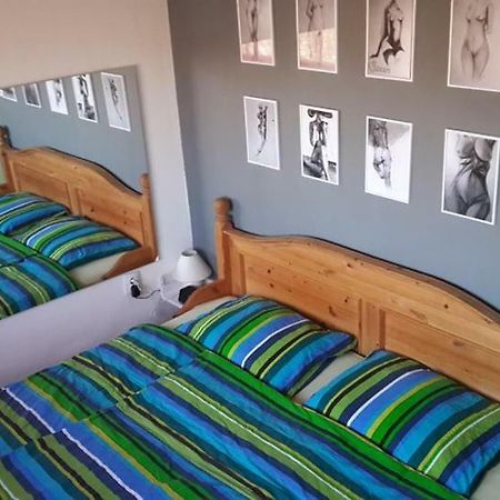 Apartman Sirius 오시예크 외부 사진